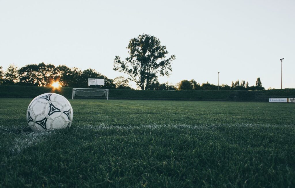 Apostas esportivas: um panorama global. apostas esportivas
